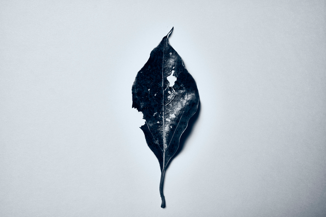AGING