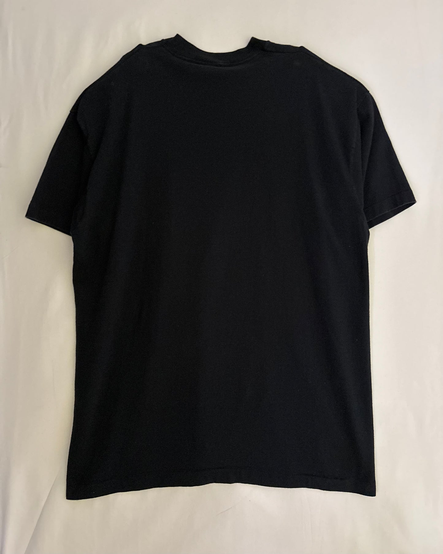 〈FRUIT OF THE LOOM〉 "South Central AHEC & HETC" Print T-Shirt USA Made