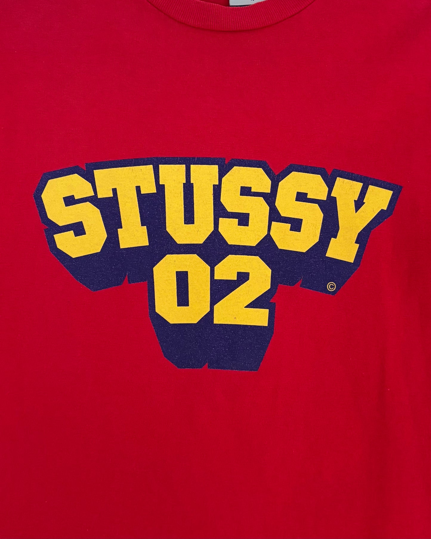 〈STUSSY〉 College Logo T-shirt